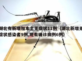湖北有新增加本土无症状11例（湖北新增无症状感染者9例,现有确诊病例6例）