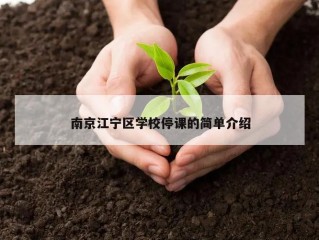 南京江宁区学校停课的简单介绍